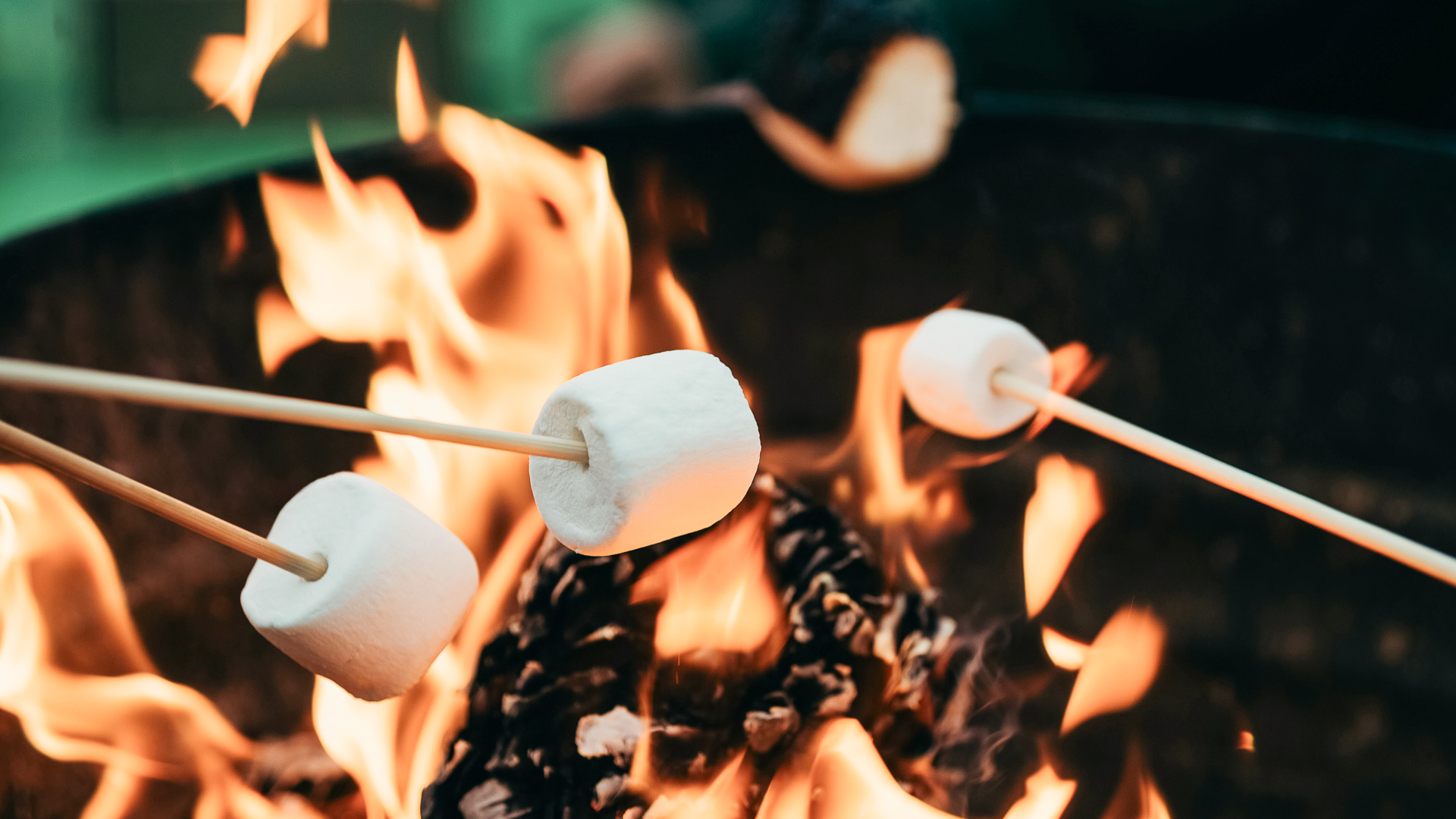 marshmallows over a fire