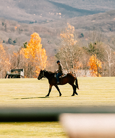 a person riding a horse in a field