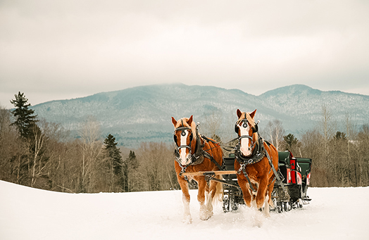 two horses pulling a carriage in the snow