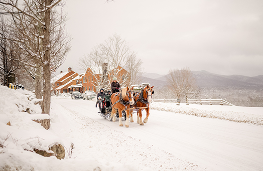 a group of horses pulling a carriage in the snow