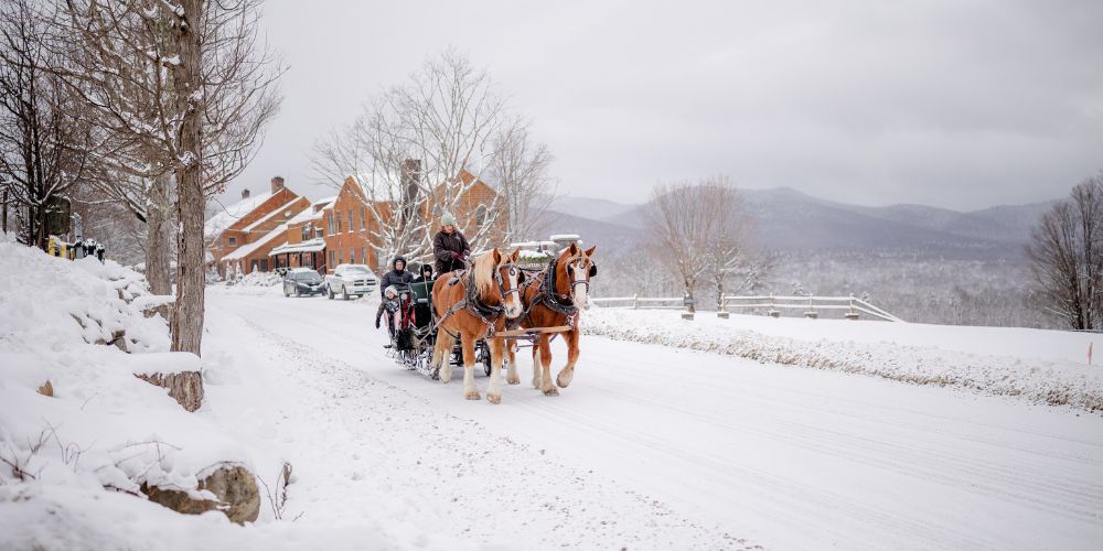 a horse drawn carriage with people on it