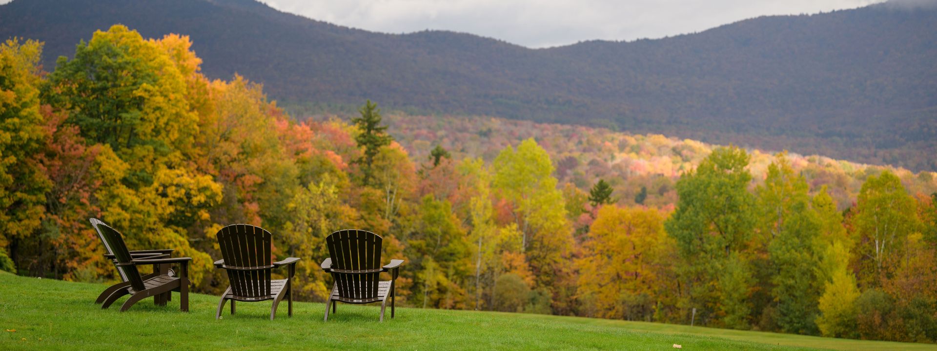 two chairs on a grassy hill with trees in the background