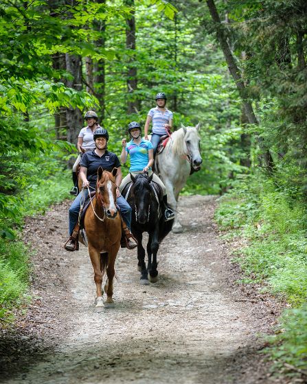 a group of people riding horses on a trail