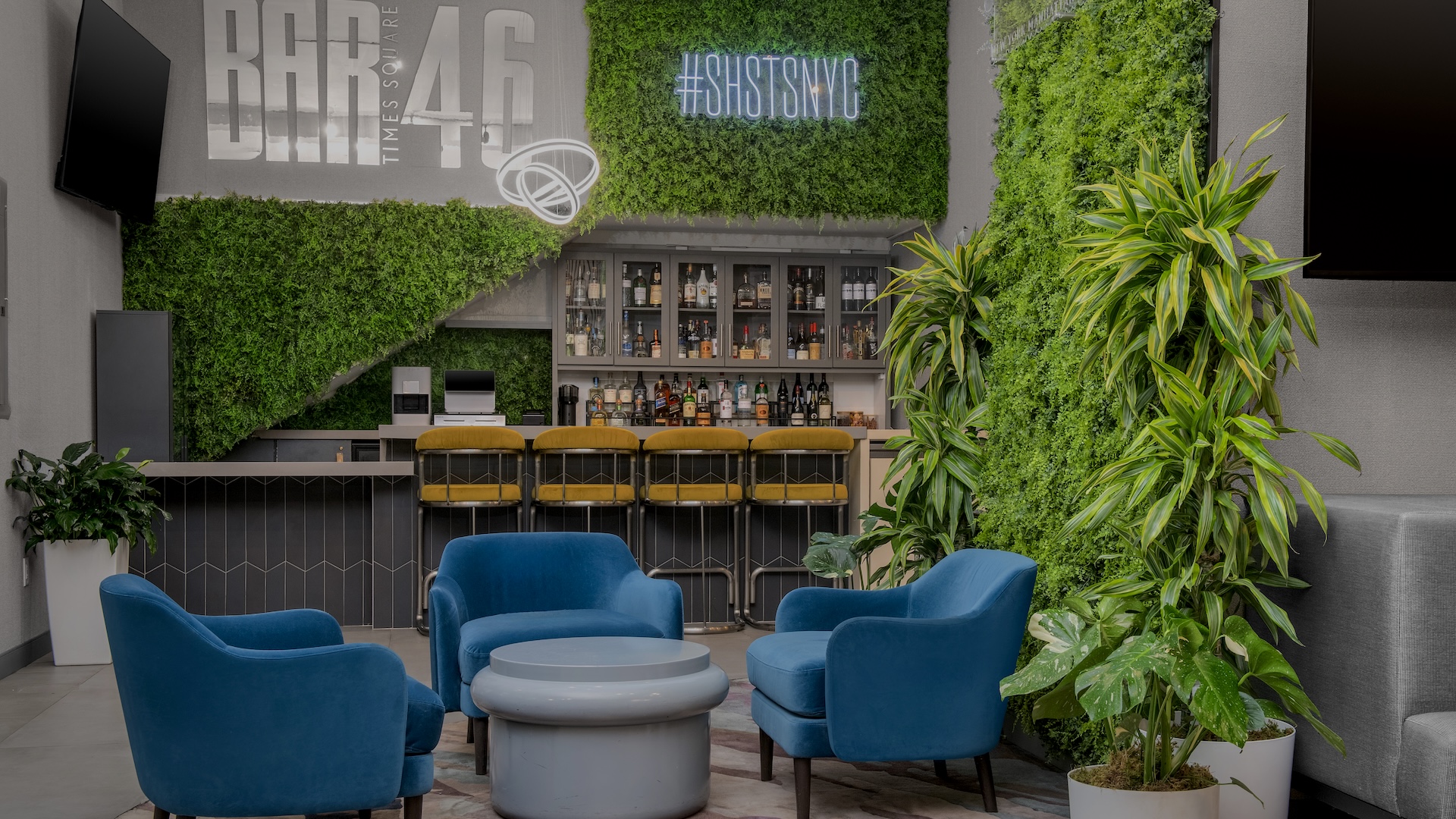 a room with plants and chairs