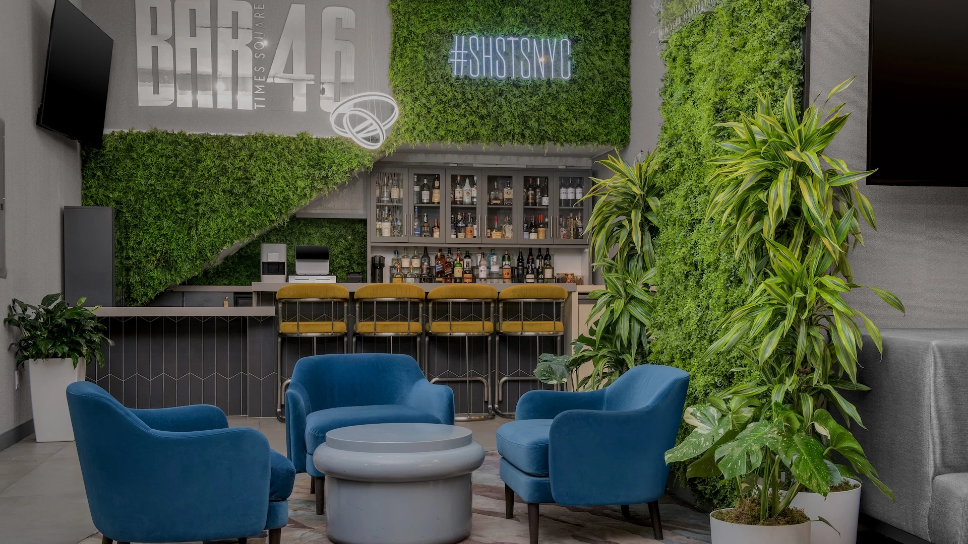a room with plants and chairs