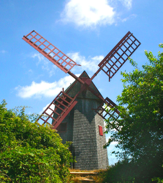 View of windmill through the trees
