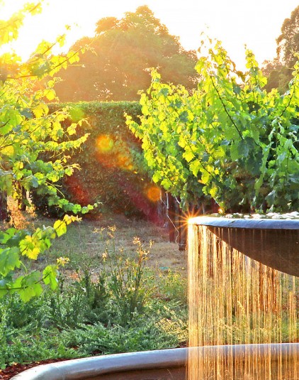 View of a font surrounded by wonderful green plants with sunlight