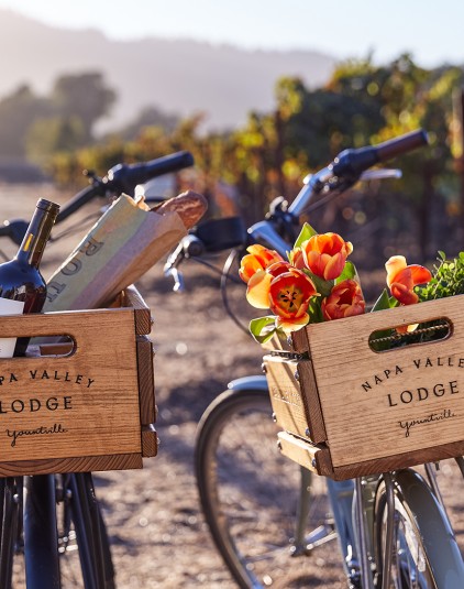 View of two decorated bicycles for exploring the valley
