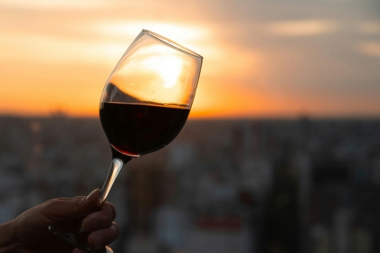 a hand holding a glass of wine