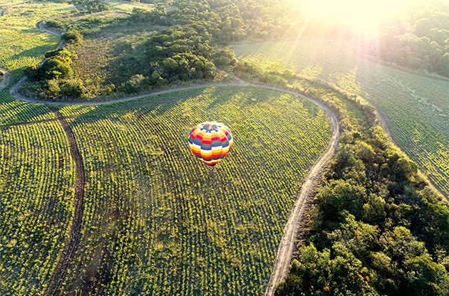 a hot air balloon in the sky