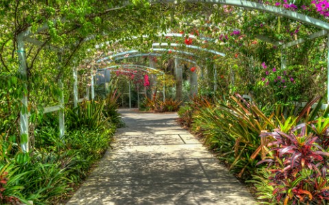 Marvel at the Naples Botanical Garden Inset