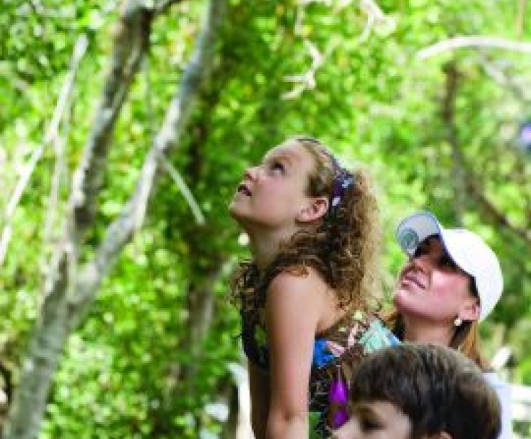 a woman and children looking up at trees