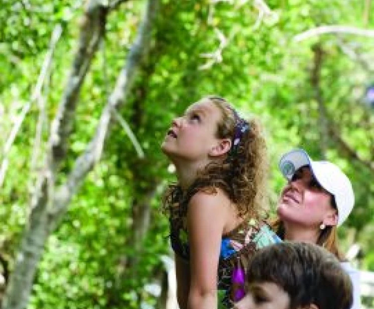 a woman and children looking up at trees
