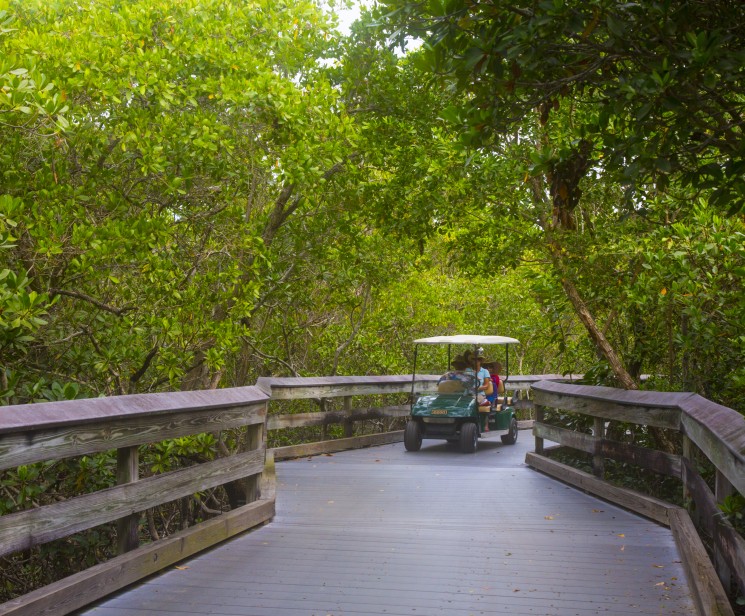 a golf cart on a bridge