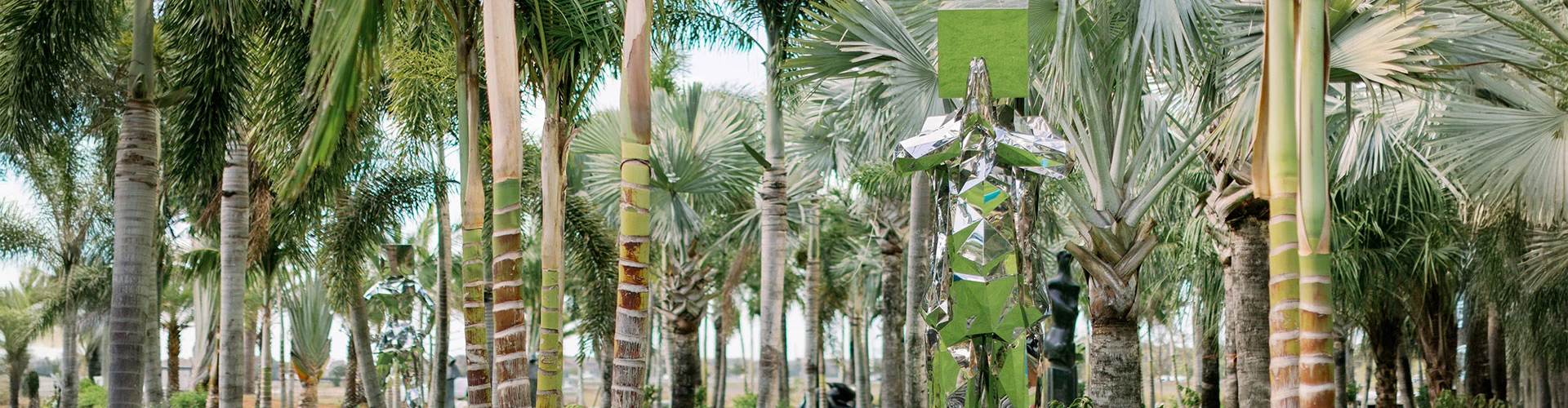 a statue in a park with palm trees