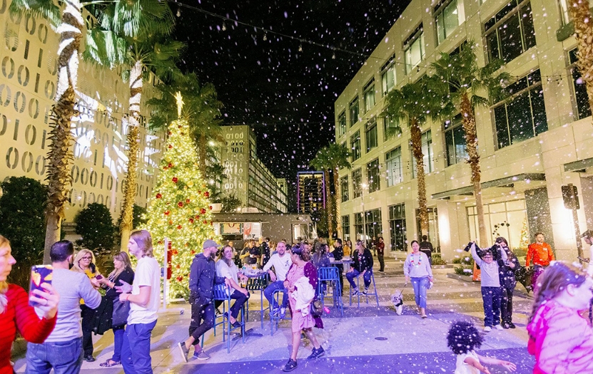 a group of people outside with a christmas tree and lights