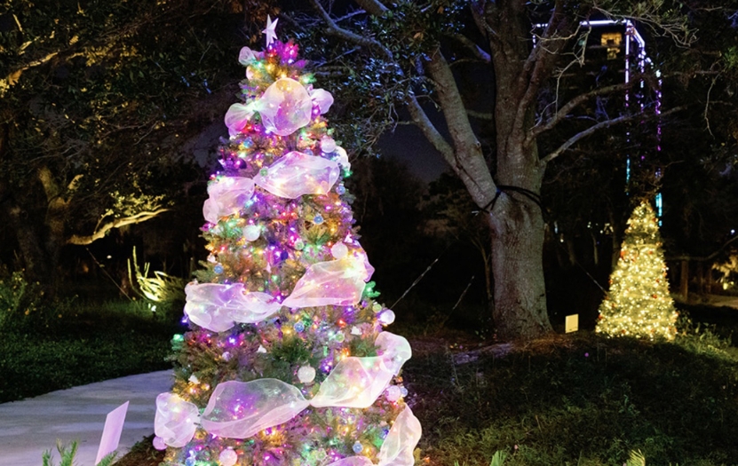 a christmas tree with lights and a tree in the background