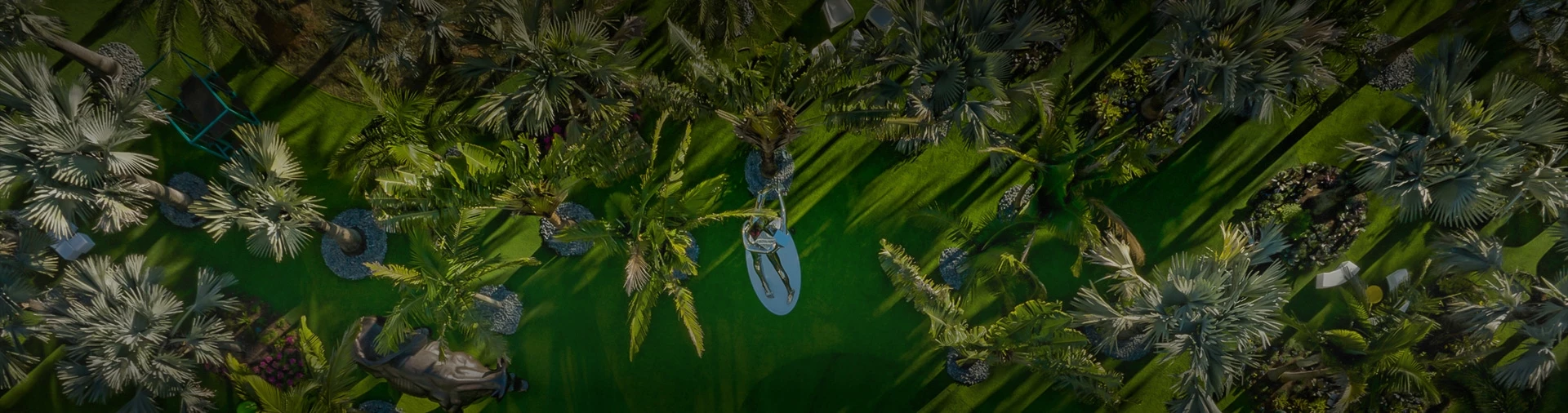 a person on a surfboard under palm trees