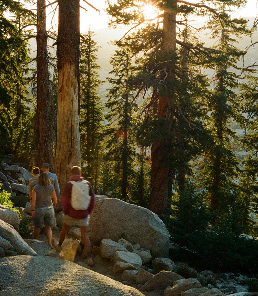 a group of people walking on a rocky trail with trees and a lake
