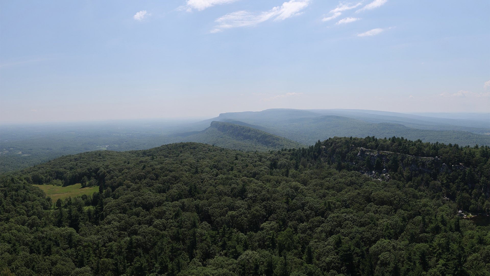 a landscape of a forest