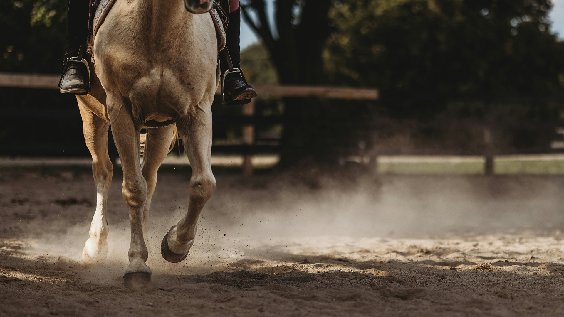 a horse running in the dirt