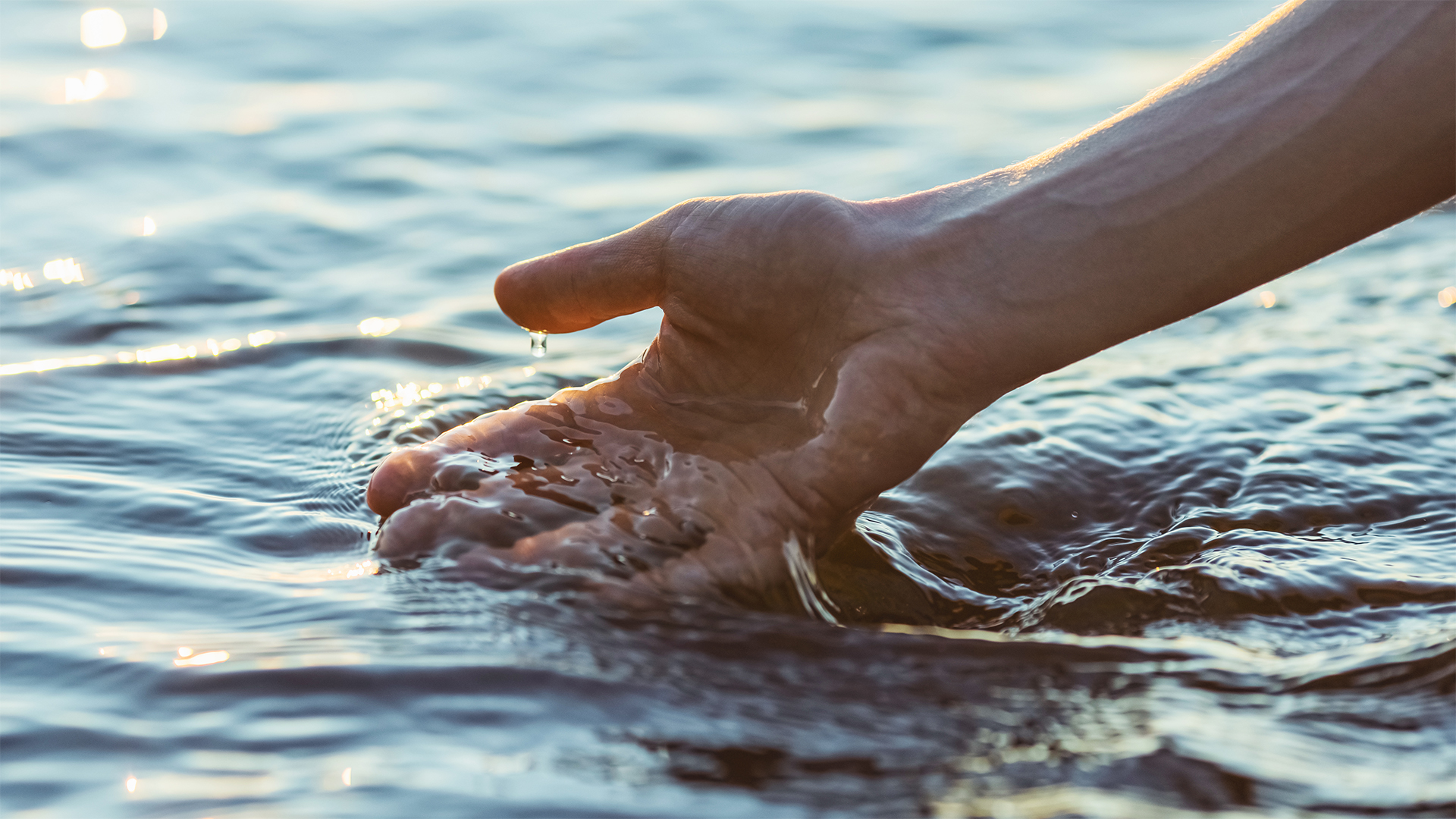 a hand reaching out to the water