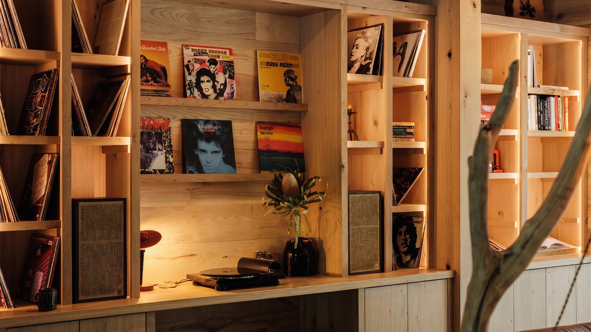 a shelf with books and a plant on it