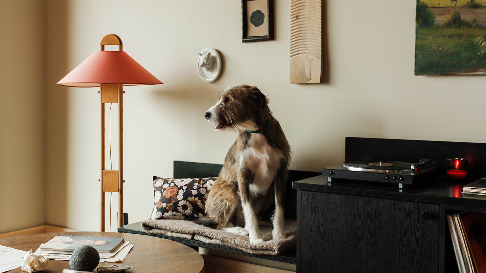 a dog sitting on a couch