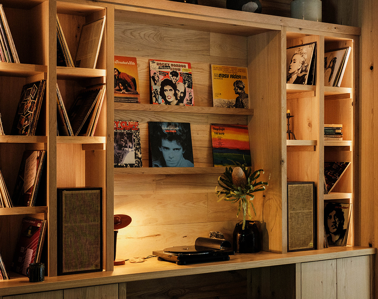 a shelf with books and a plant on it
