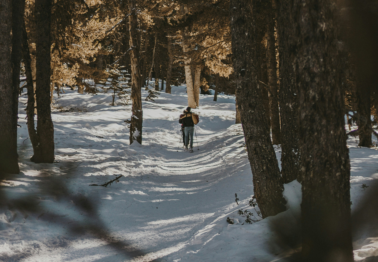 a person skiing in the snow