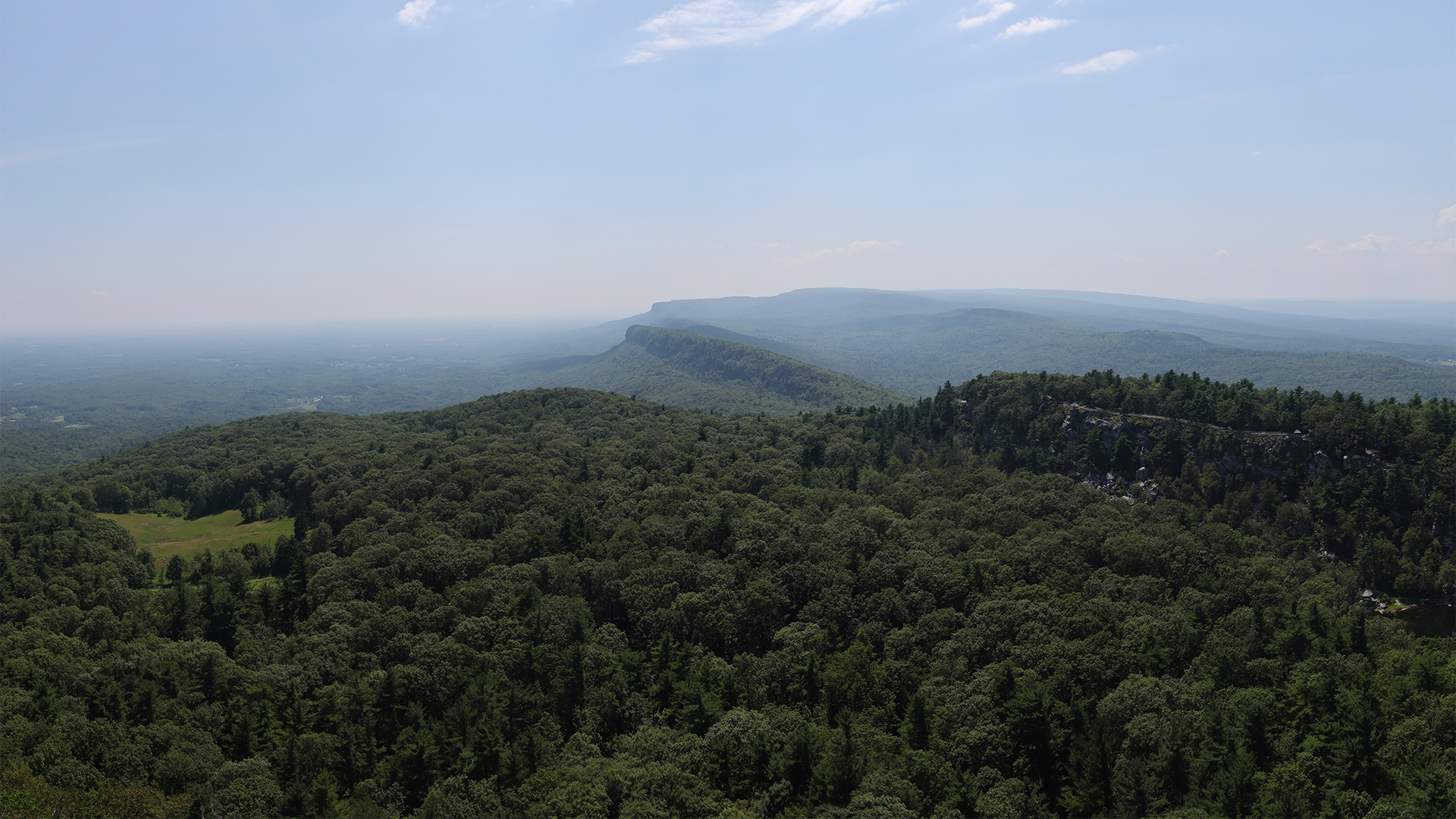 a forest of trees and hills