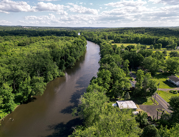 a river surrounded by trees