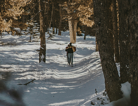 a person skiing in the snow