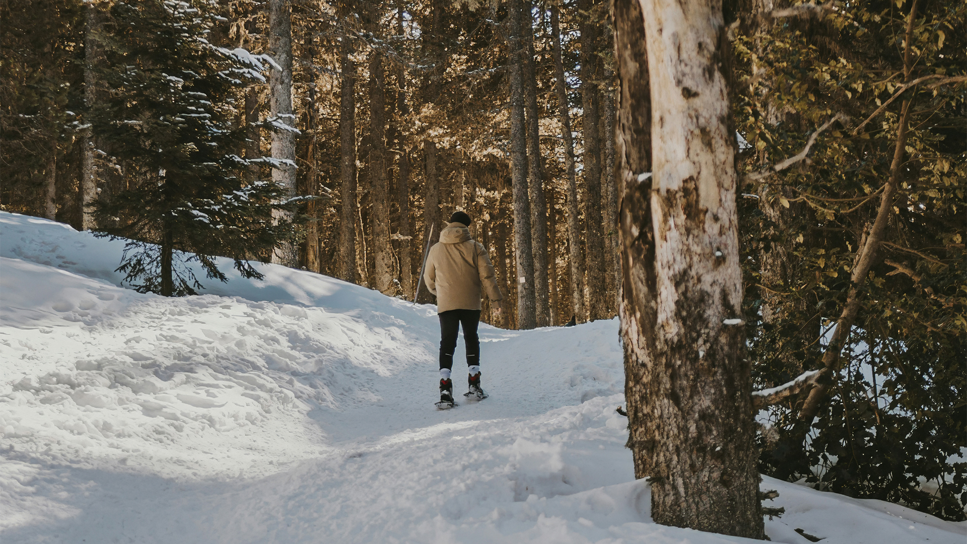 a person on snow shoes in the woods