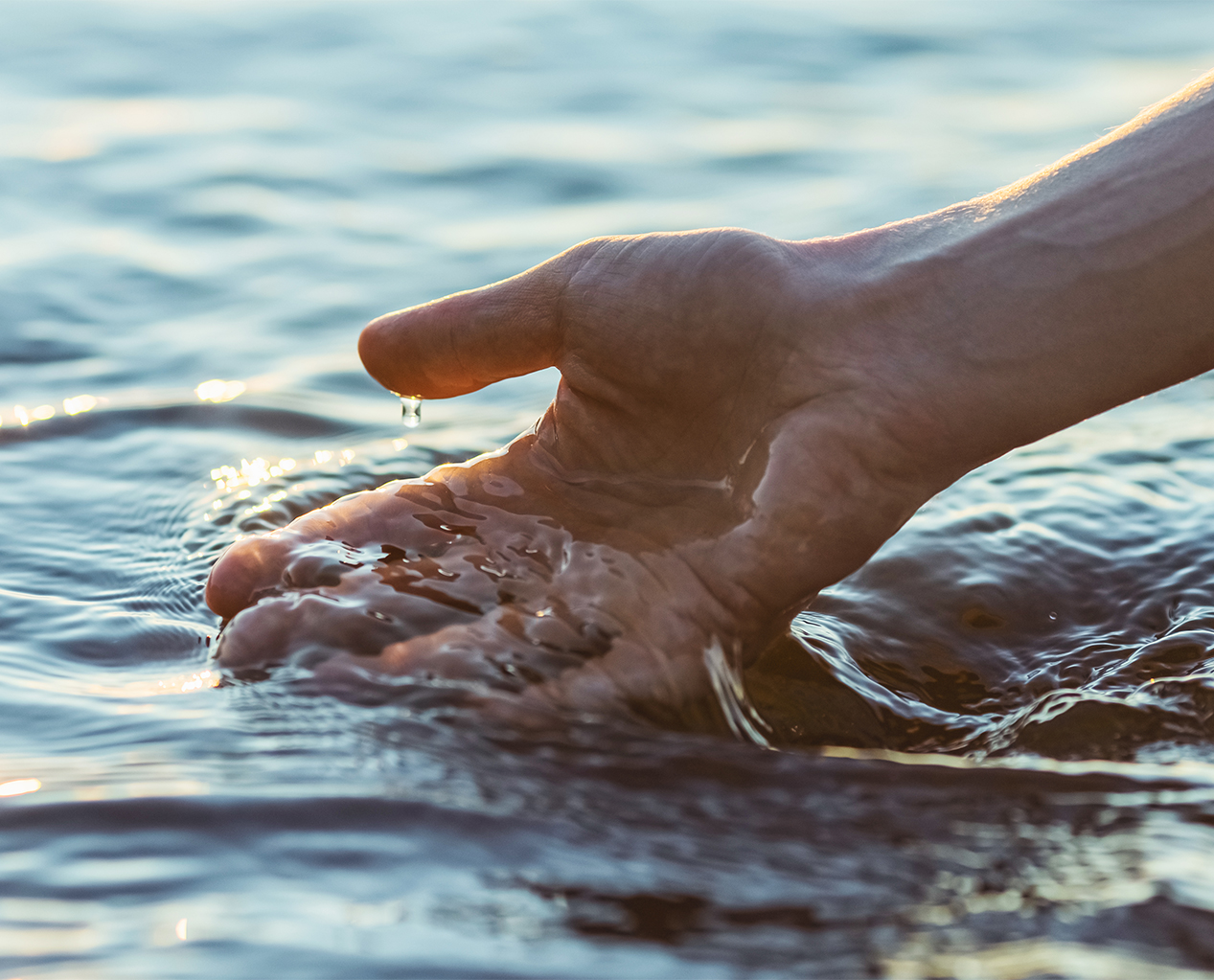 a hand reaching out to the water