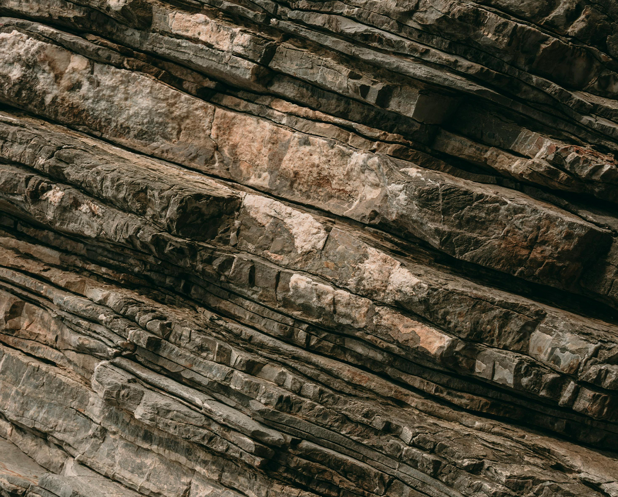 a close up of a rock