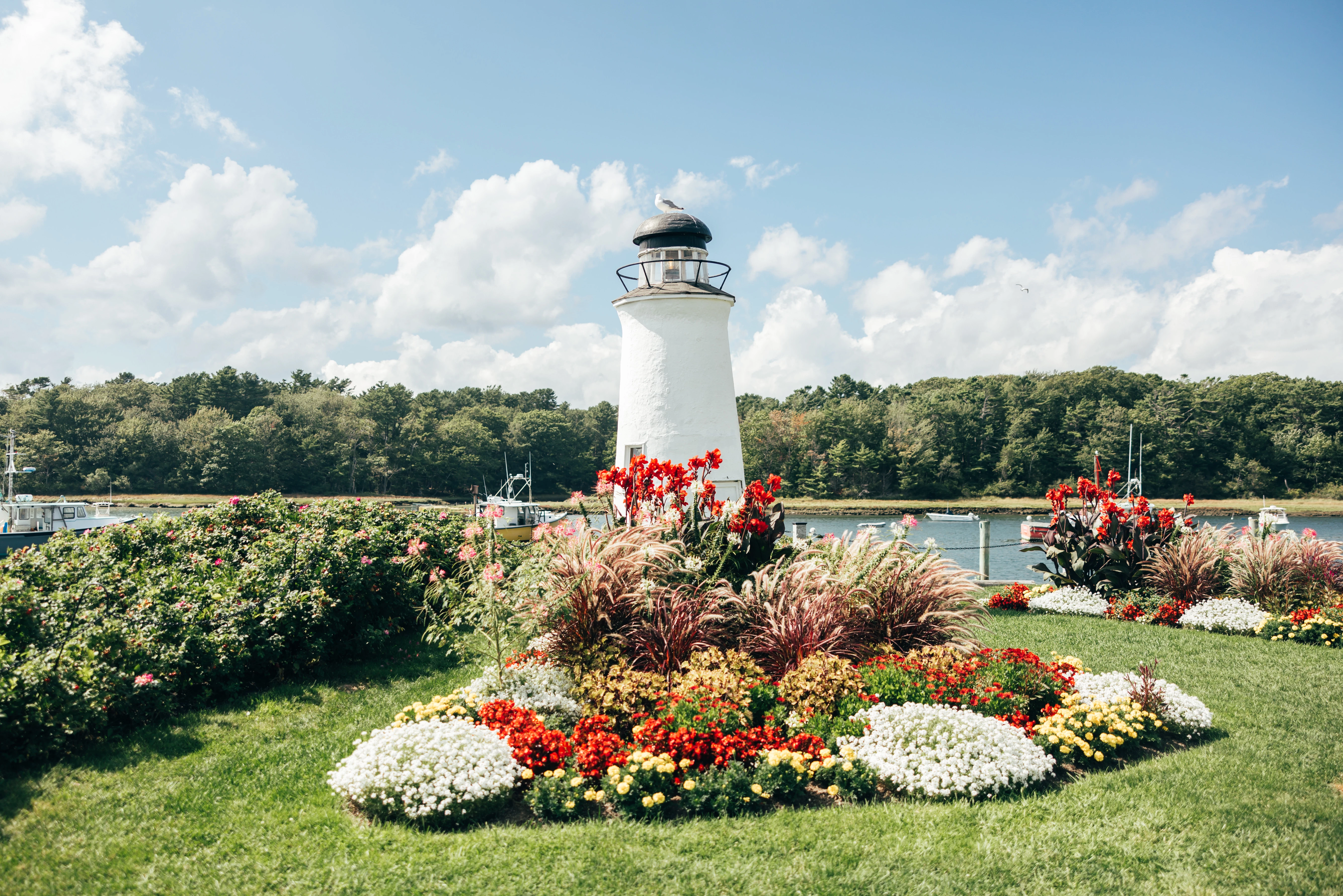 a flower garden with a lighthouse in the background