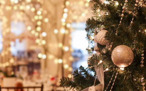 a christmas tree with lights and ornaments