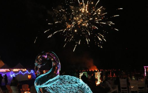a firework display in the sky