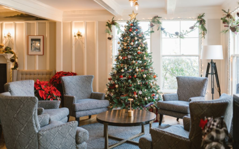 a christmas tree in a room