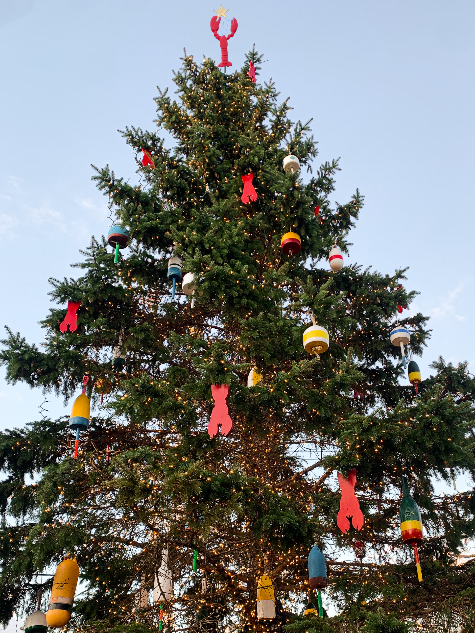 a tree with lights and ornaments