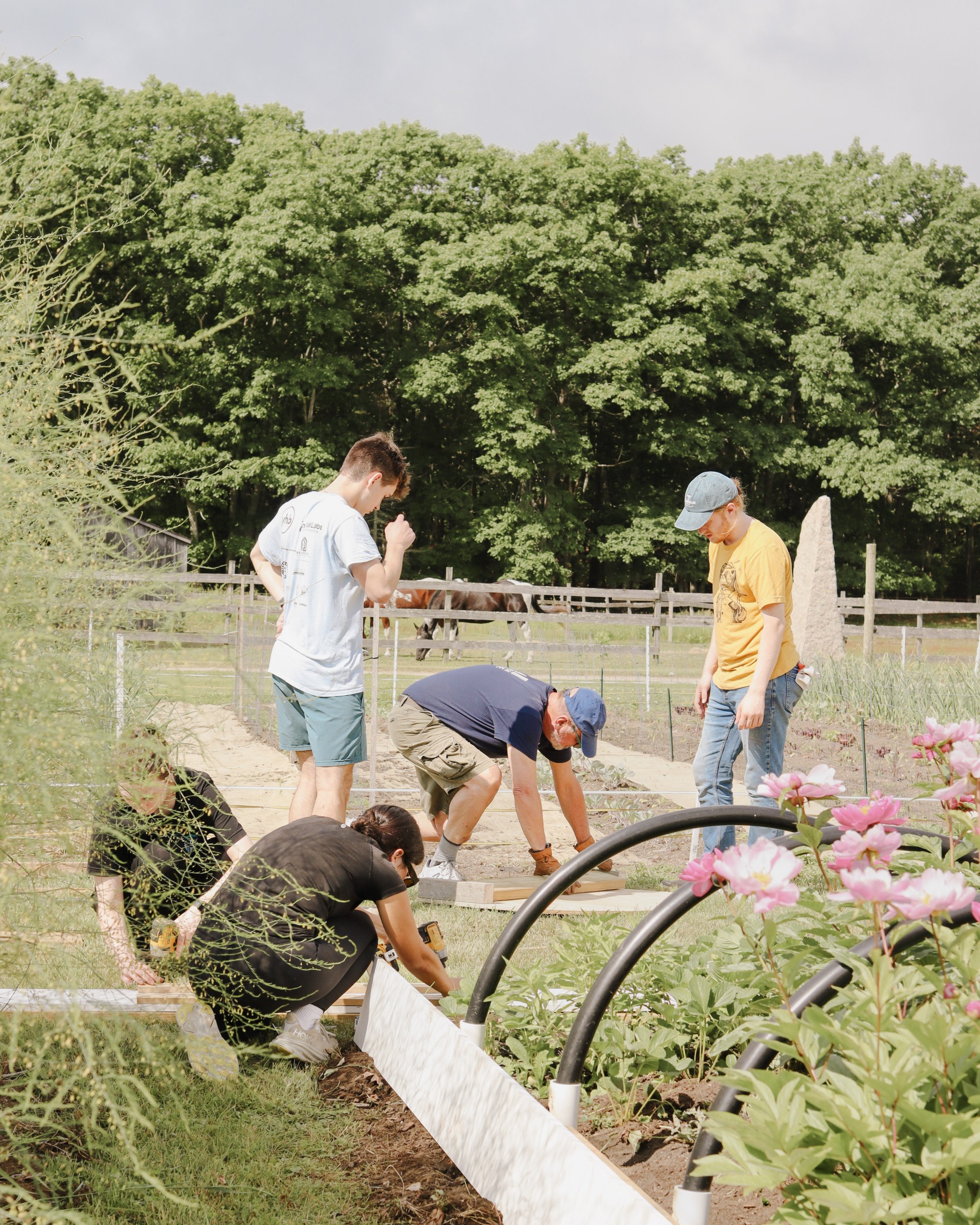 a group of people working in a garden