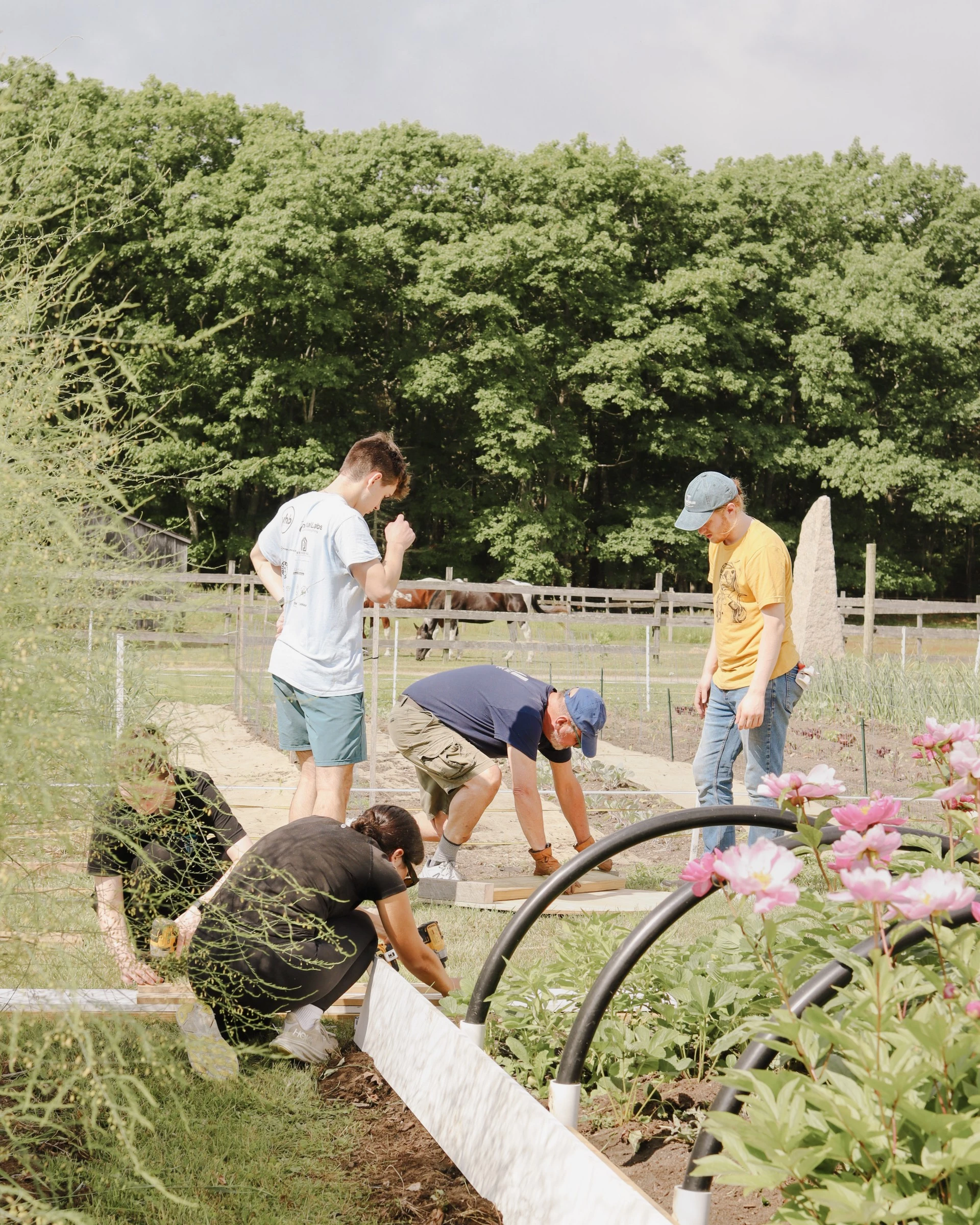 a group of people working in a garden