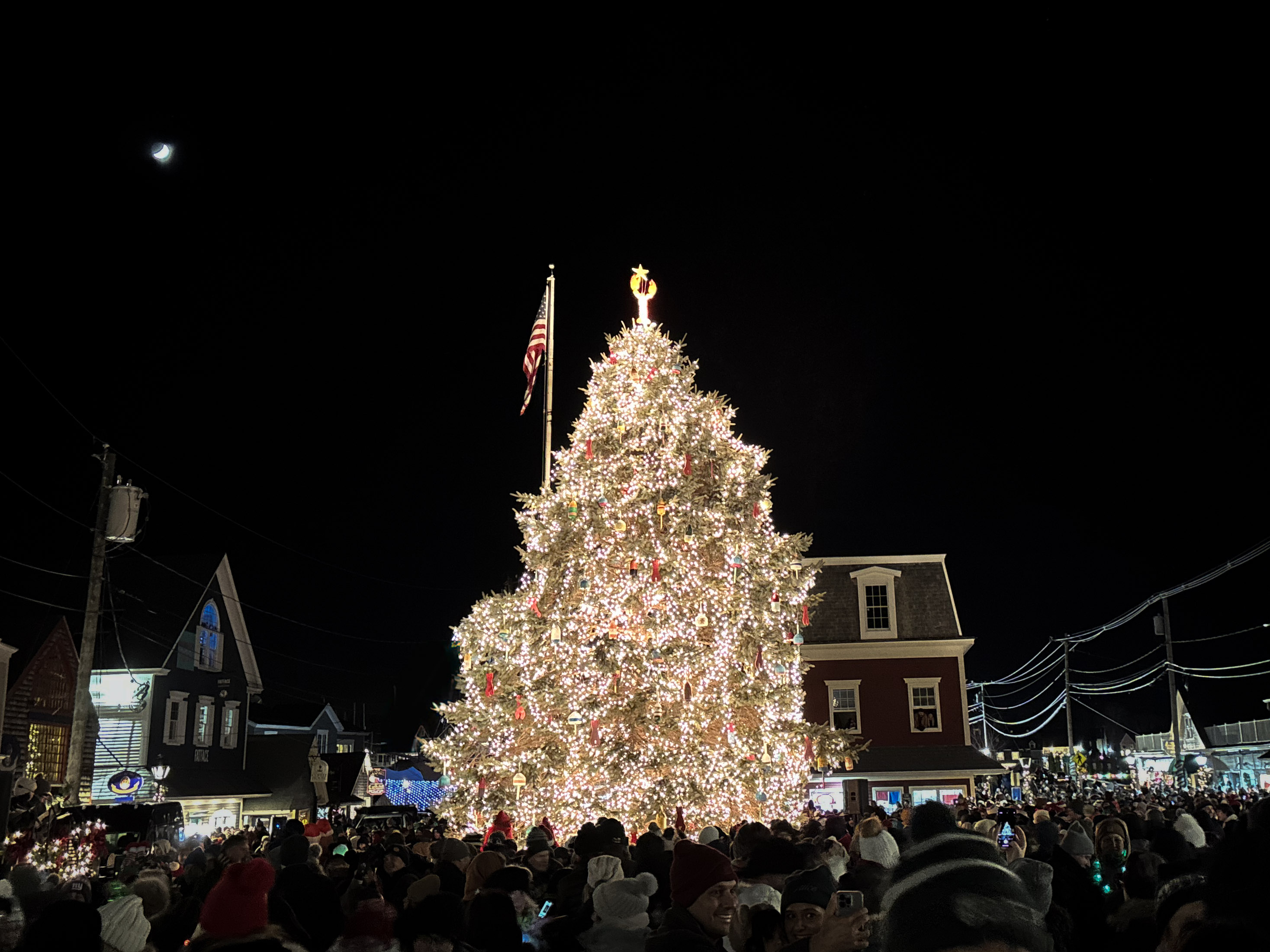 a large christmas tree with lights and a flag on top