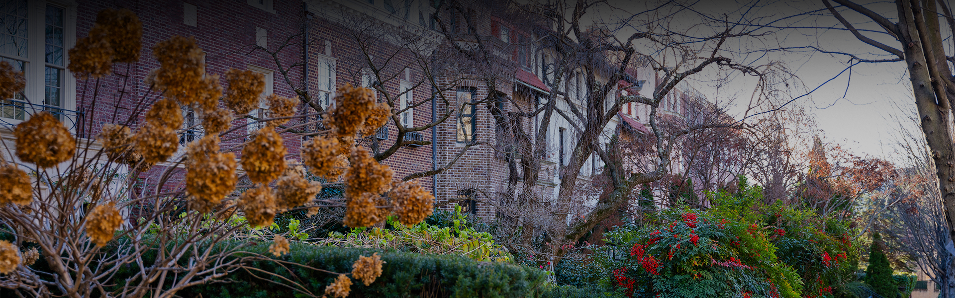 a garden with trees and flowers
