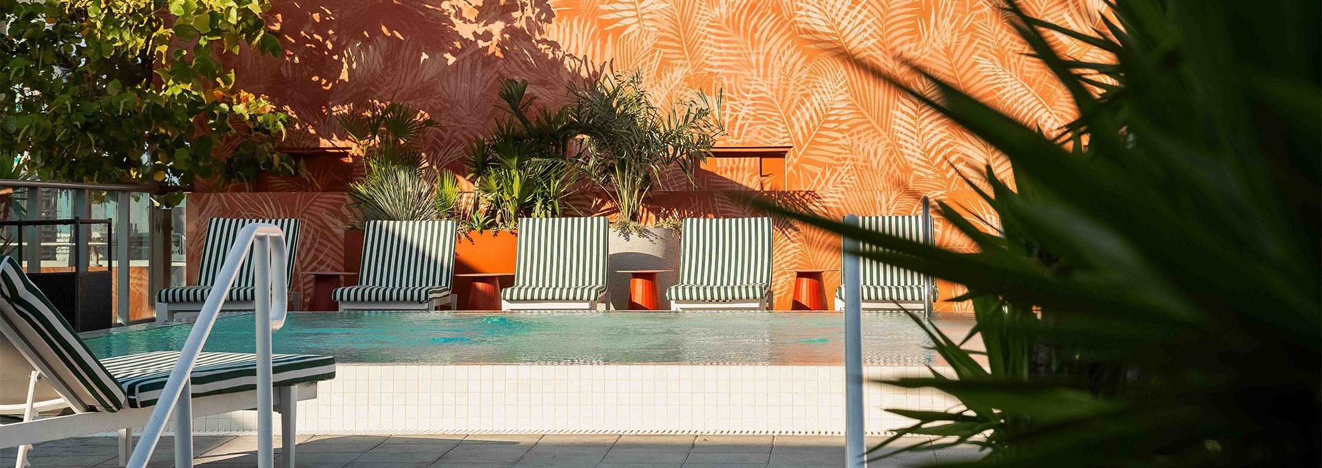 a pool with chairs and palm trees