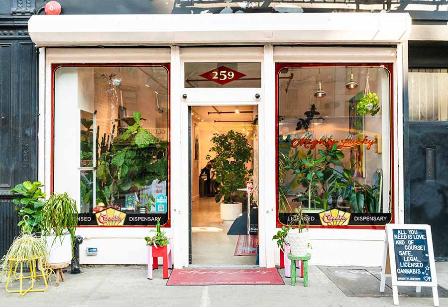 a store front with plants in the windows