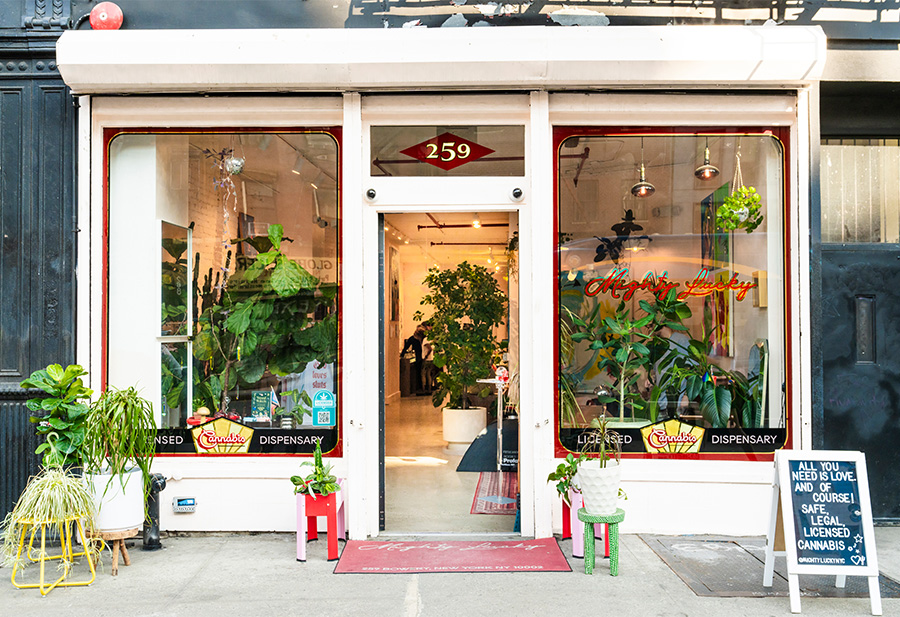 a store front with plants in the windows