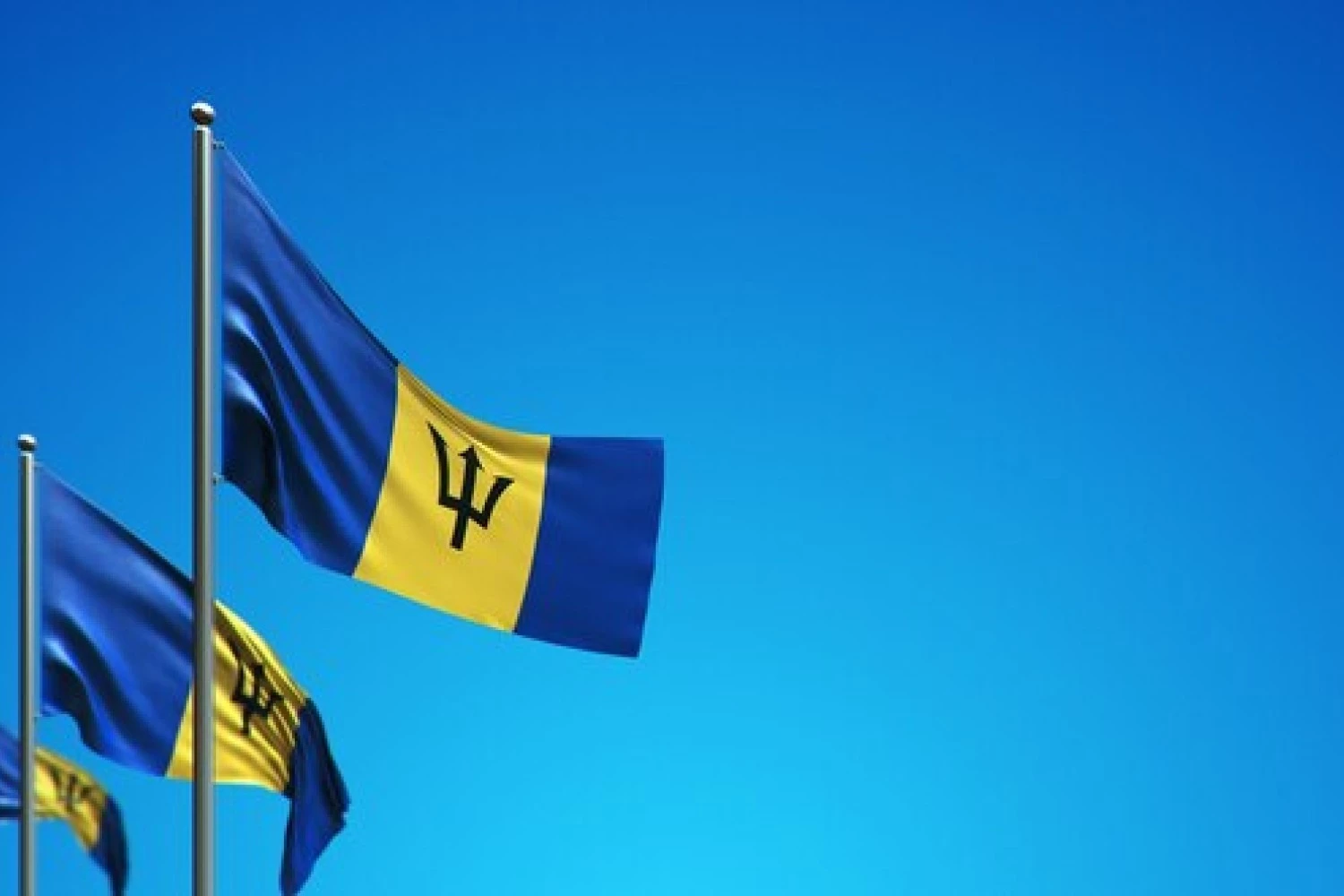 a group of flags