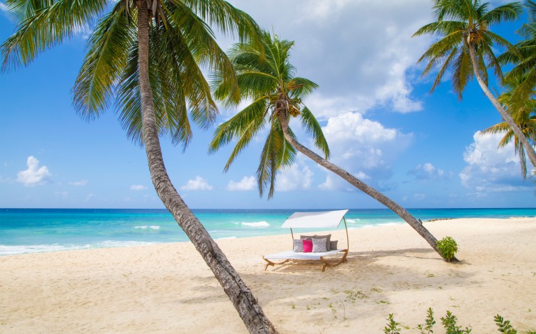 palm trees on the beach with a lounger next to the ocean
